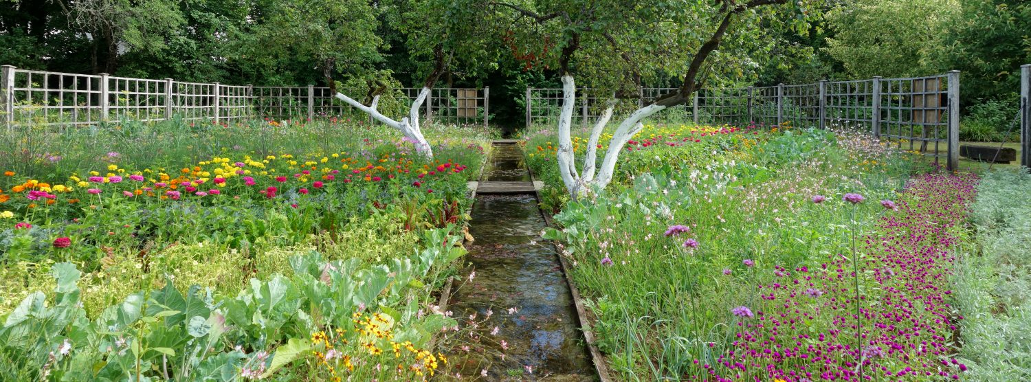 Des Hommes et des Plantes