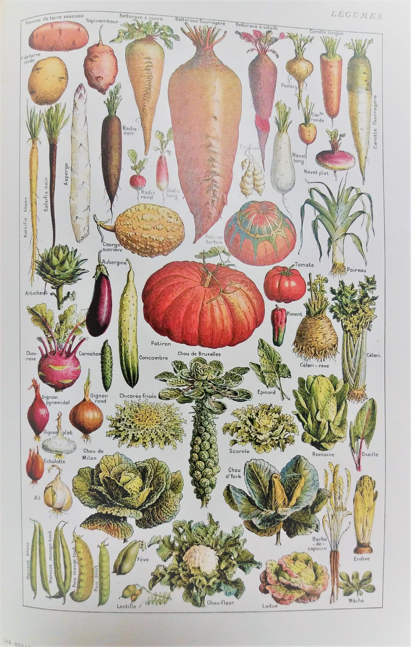 Un jardin dans la ville